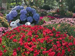 -上海鲜花港