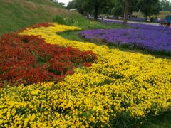 -南通洲际绿博园