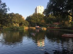 -晓港公园
