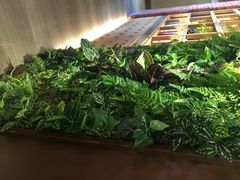 蜀记火锅(南街店)-蜀记火锅(南街店)