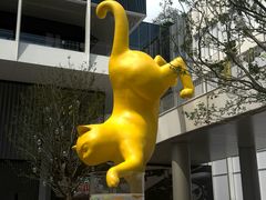 -深圳湾万象城(南山店)