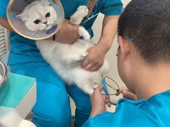 -美迦爱-牙专科·兔科·骨科诊疗中心(北苑店)