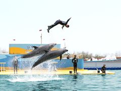 -秦皇岛乐岛海洋王国