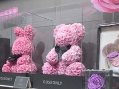 -ROSEONLY诺誓(沈阳万象城店)