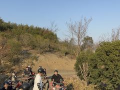 -莫干山风景区