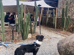 -MOJ coffee(瓯海泽雅水碓坑店)