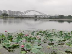 -澹台湖公园