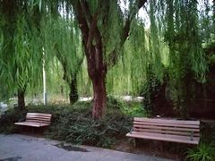 -廊坊文化艺术中心