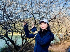 -广州市流溪河国家森林公园
