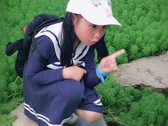 -南山植物园