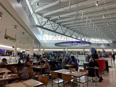 -约翰·菲茨杰拉德·肯尼迪国际机场