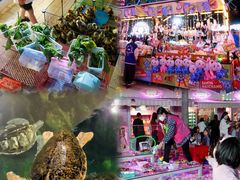 -三亚海昌梦幻海洋不夜城