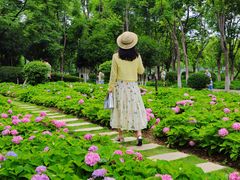 -金银湖国家城市湿地公园