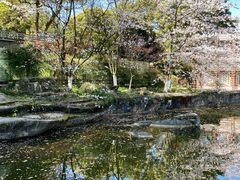 -南山植物园