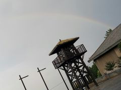 -黄金寨原生态旅游区