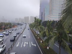 -万绿园
