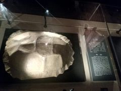 占卜-金沙遗址博物馆