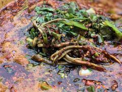 -乐山第一家临江鳝丝(茶坊路店)