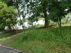 -梁鸿国家湿地公园