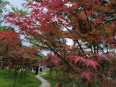 -广州市帽峰山景区