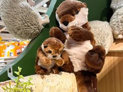 -宜家家居(四元桥商场店)