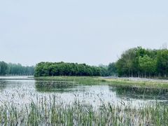 -东郊湿地公园