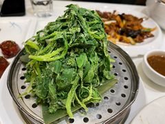 蒜泥野菜-金春禧(世茂国际广场店)