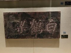 -白鹤梁水下博物馆