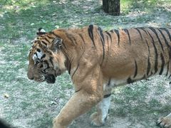 -北京野生动物园