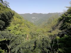 -藏龙百瀑风景区