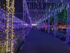 -歌斐颂巧克力小镇