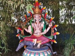-呀路古热带植物园