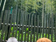 -树山生态村