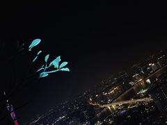 -广州柏悦酒店·悦吧·顶楼露天酒吧