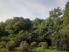-万泉公园