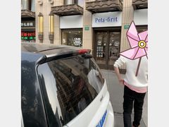 -Pets First伊珊娜洗护·精致美容·家庭式寄养(新会路店)