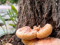 -天毓山庄·餐厅