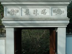 -上海佘山国家森林公园天马山园