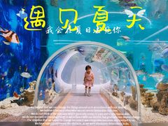 -萌宠奇缘