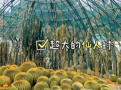 -深圳仙湖植物园