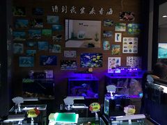 -赵记煎饼卷大葱(泰山大街店)