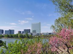 -大兴滨河森林公园