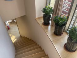 -酉嘉瑜伽YO+YOGA