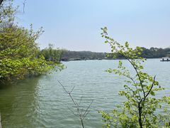 -宜兴龙背山森林公园
