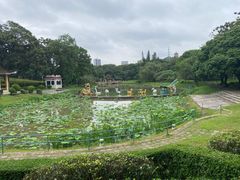 -紫马岭公园
