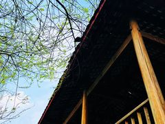 -中国天府农业博览园