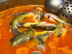 -野山舂·贵州现舂酸汤牛肉(民生路店)