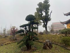 -海天禅寺