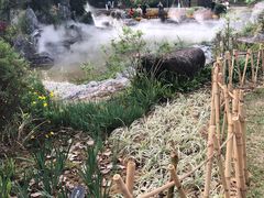 -东莞植物园