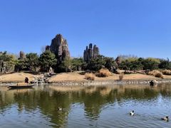 -北京野生动物园